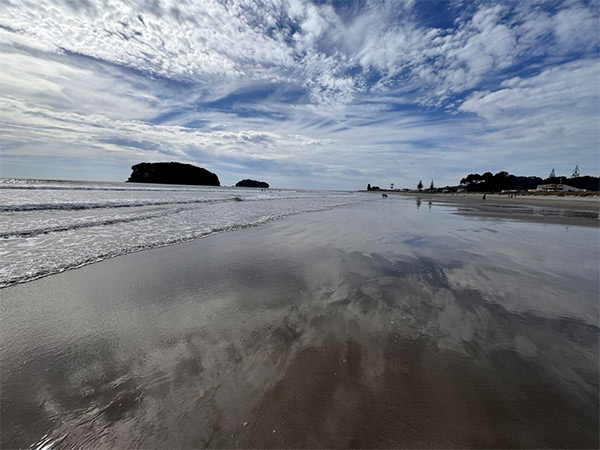 Common conditions that come up Common conditions that come up